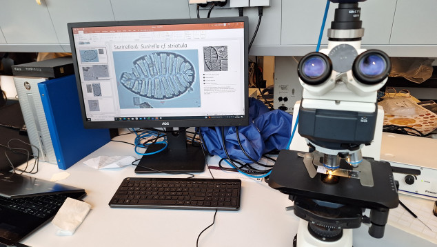 Microscope, camera and computer set up within the Pollen Laboratory