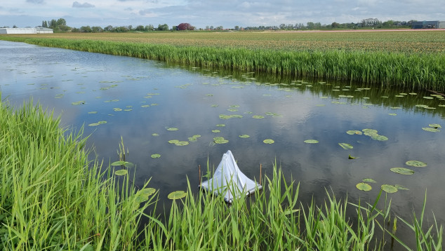 Ditch with pyramid shaped trap to monitor invertebrates 